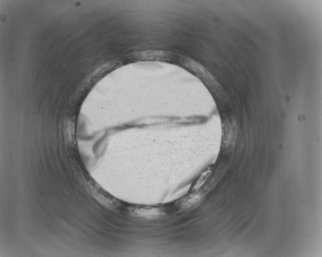 X0000082700669200702232232