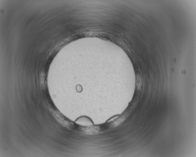 X0000082700670200702232232