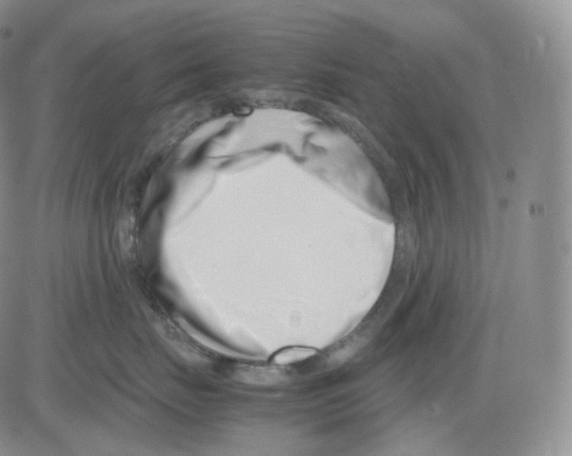 X0000082700671200702232232