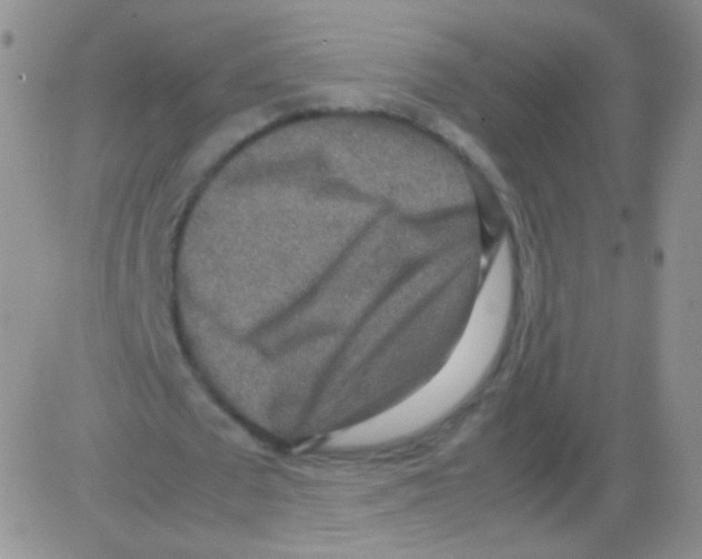 X0000082700673200702232231