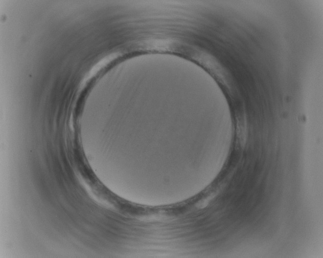 X0000082700674200702232231