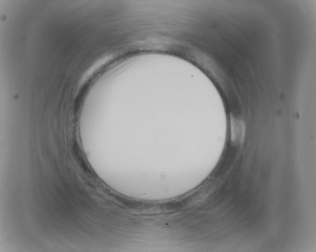 X0000082700675200702232231