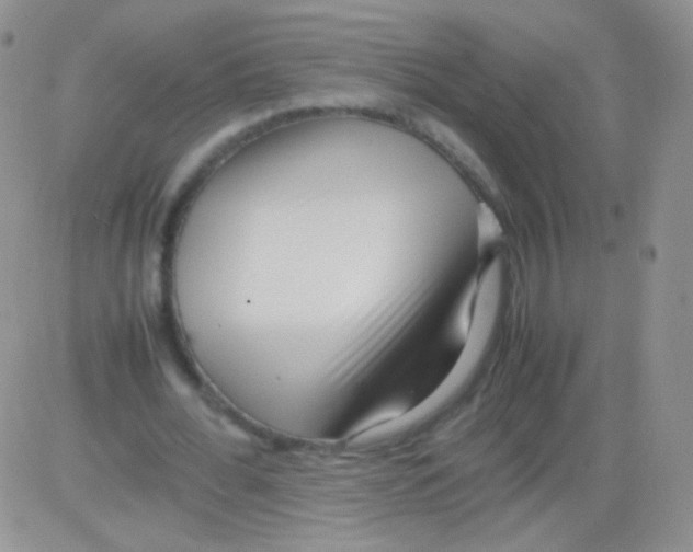 X0000082700676200702232231