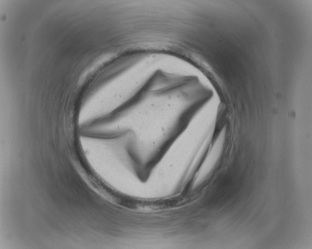 X0000082700677200702232231