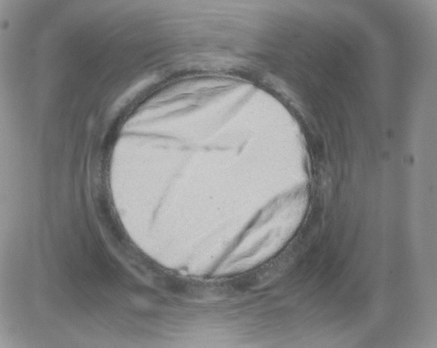 X0000082700679200702232231