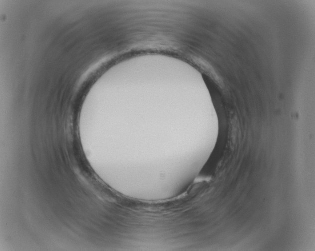 X0000082700680200702232231