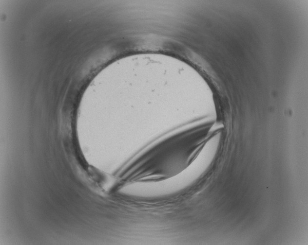 X0000082700681200702232231