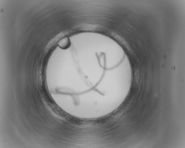 X0000082700682200702232231