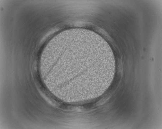 X0000082700683200702232231