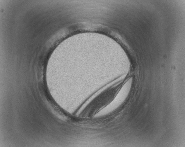 X0000082700685200702232231