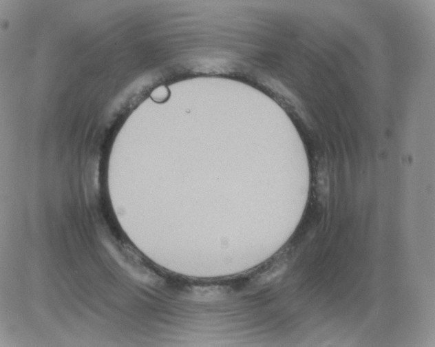 X0000082700686200702232231