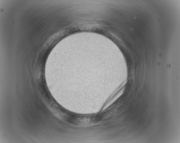 X0000082700687200702232231