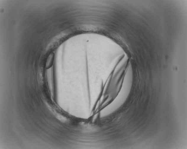 X0000082700688200702232231