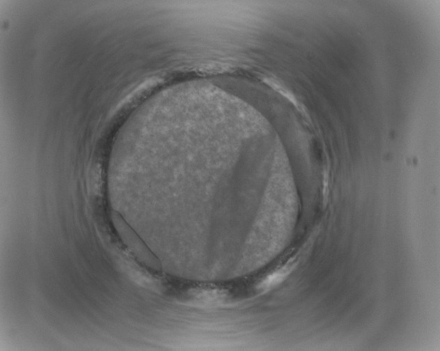 X0000082700689200702232231