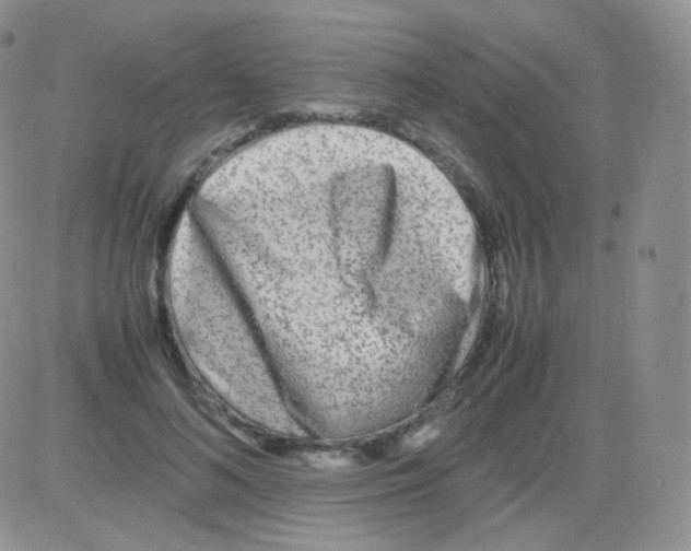 X0000082700692200702232230