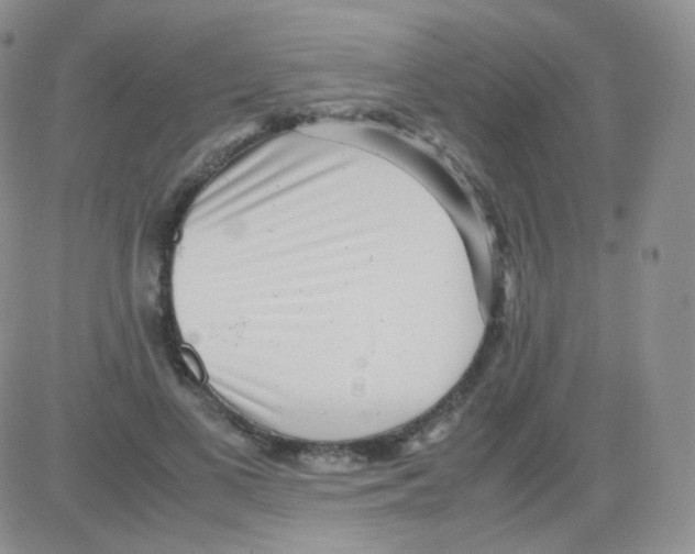 X0000082700693200702232230