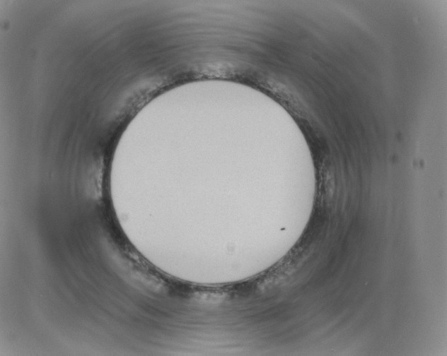 X0000082700694200702232230