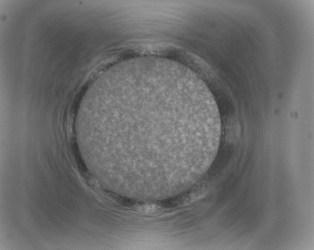 X0000082700695200702232230