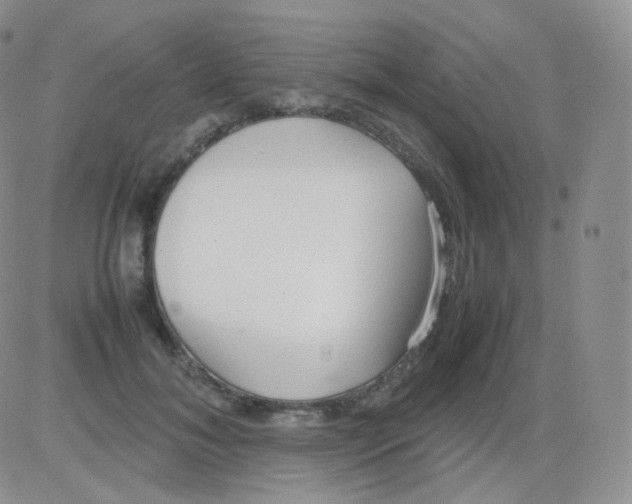 X0000082700700200702232230