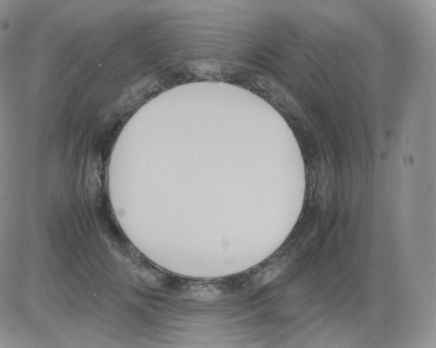 X0000082700702200702232230