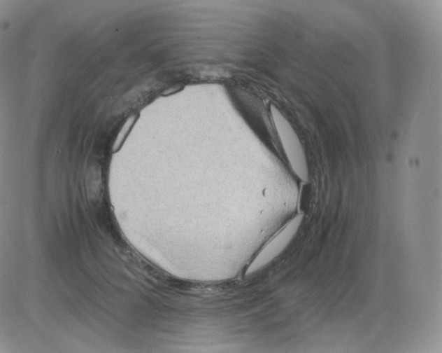 X0000082700704200702232230