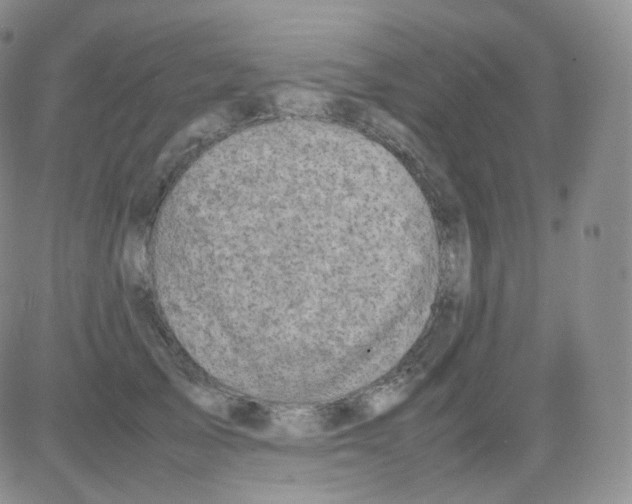 X0000082700705200702232230