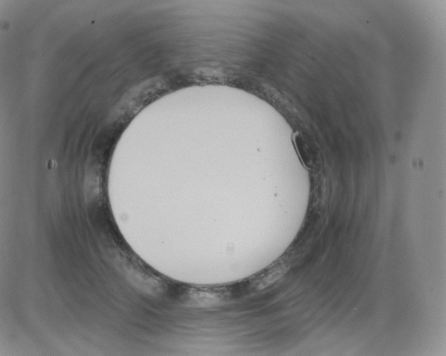 X0000082700706200702232230