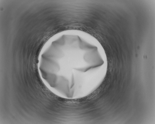 X0000082700708200702232230