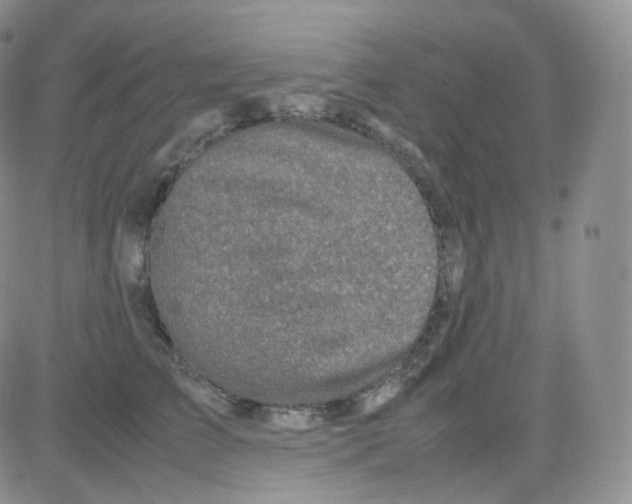 X0000082700709200702232230