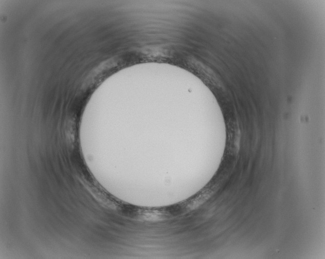 X0000082700710200702232230