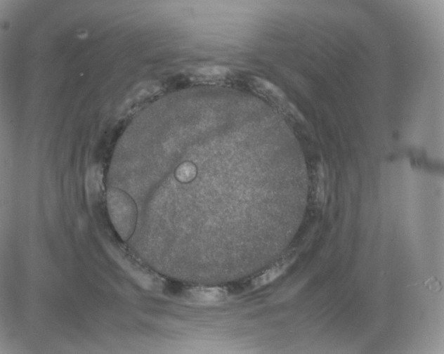 X0000082700711200702232230