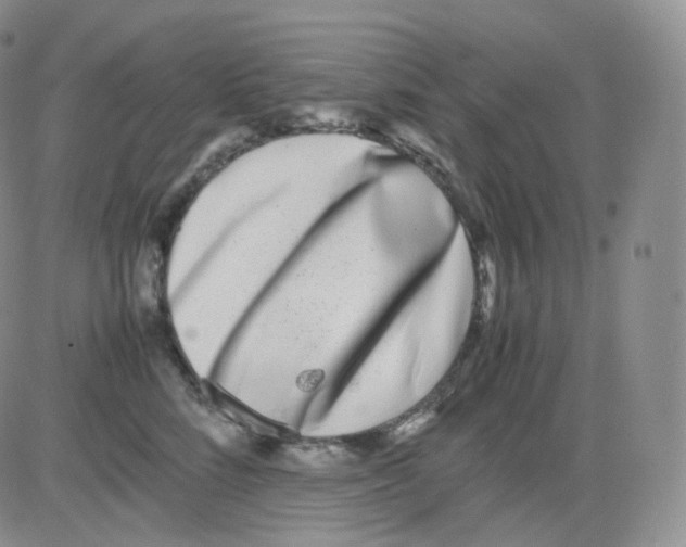 X0000082700712200702232230