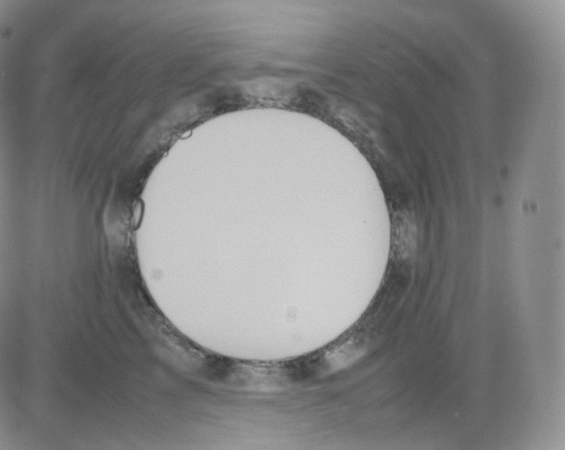 X0000082700713200702232230