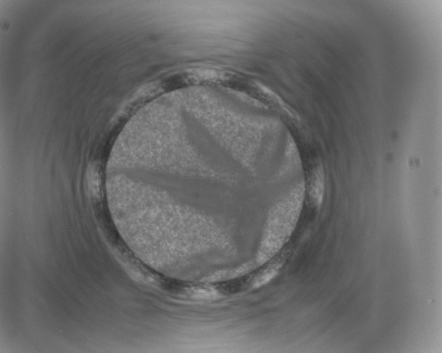 X0000082700715200702232230