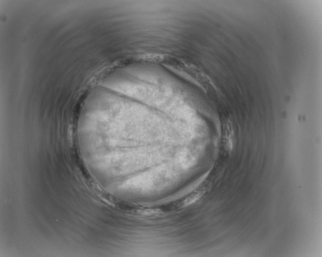 X0000082700716200702232230