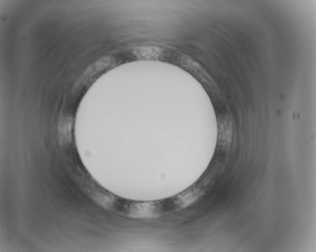 X0000082700717200702232230