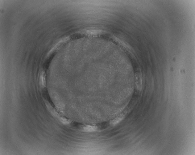 X0000082700718200702232230