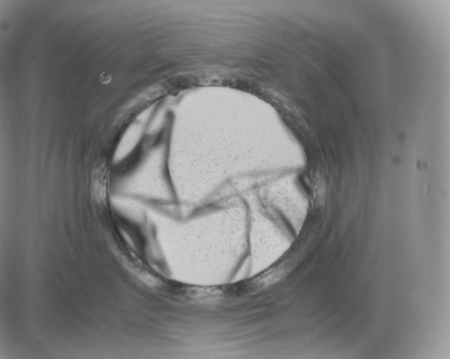 X0000082700719200702232230