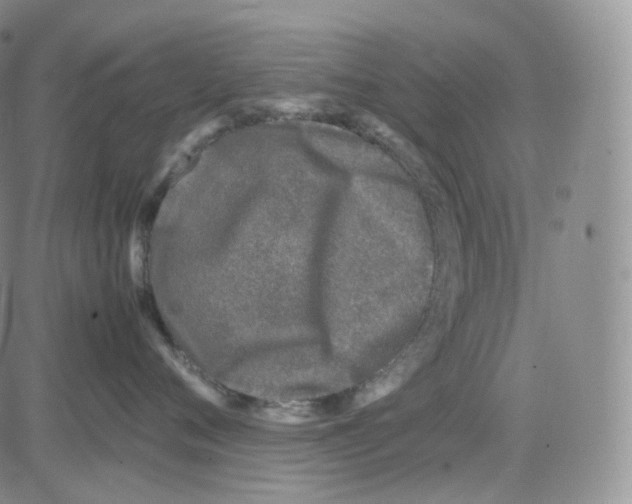 X0000082700720200702232230