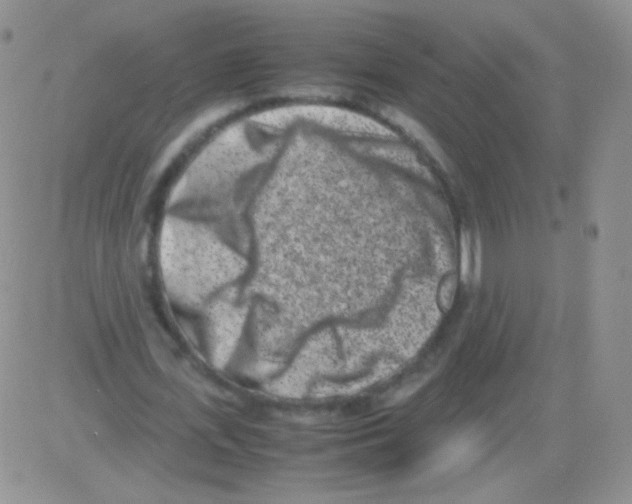 X0000082700723200702232229