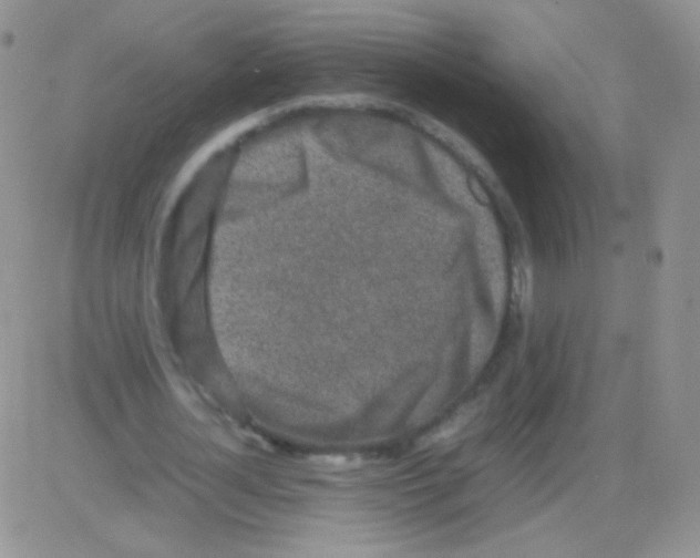 X0000082700724200702232229