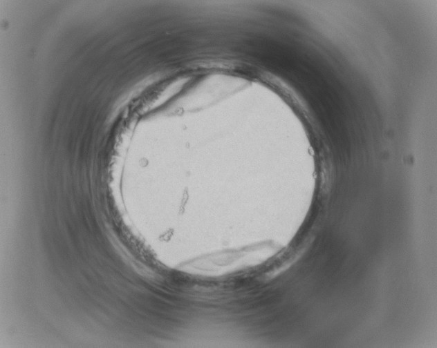 X0000082700725200702232229