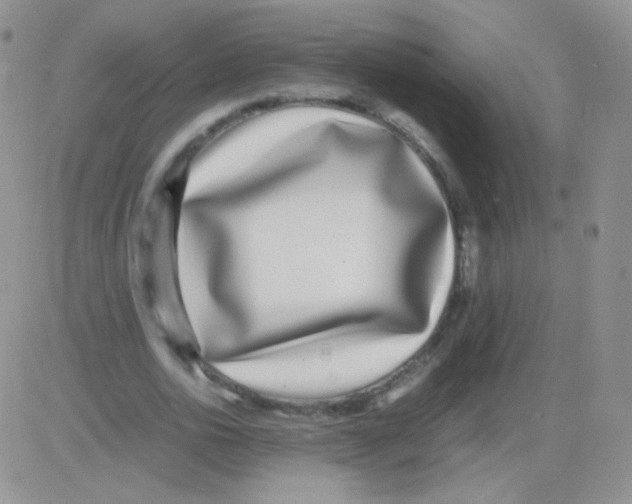 X0000082700726200702232229