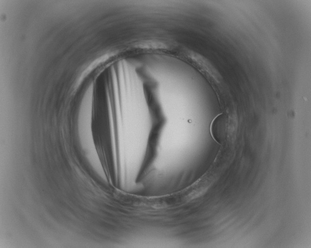 X0000082700727200702232229