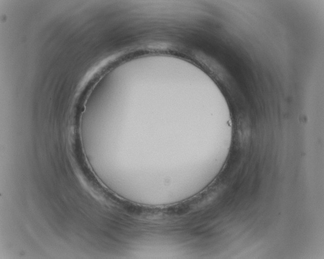 X0000082700728200702232229