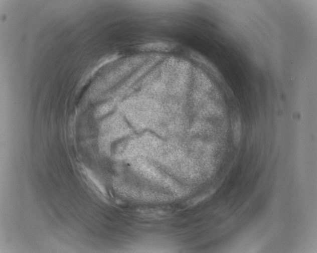 X0000082700729200702232229