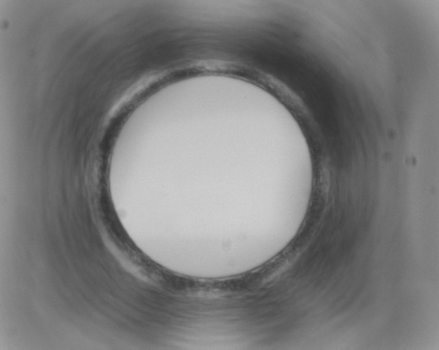 X0000082700730200702232229