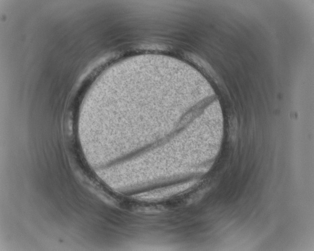 X0000082700731200702232229