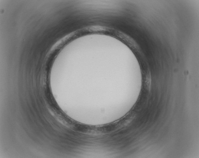 X0000082700732200702232229