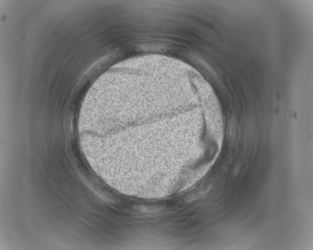 X0000082700733200702232229